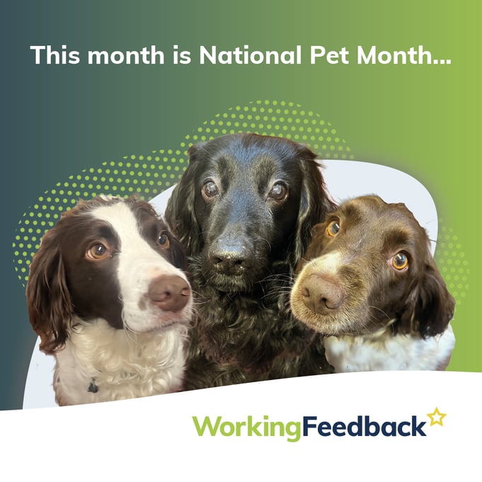 Social Media - WF pets